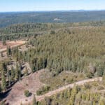 Photo 3 for High Sierra Forest