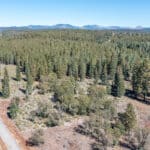 Photo 5 for High Sierra Forest