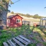 Photo 31 for Gold Rush Bison Ranch