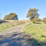 Photo 32 for Gold Rush Bison Ranch