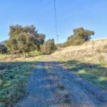 Photo 33 for Gold Rush Bison Ranch