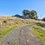 Photo 34 for Gold Rush Bison Ranch