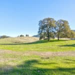 Photo 35 for Gold Rush Bison Ranch