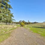 Photo 36 for Gold Rush Bison Ranch