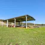 Photo 38 for Gold Rush Bison Ranch