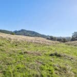 Photo 39 for Gold Rush Bison Ranch