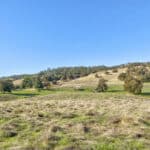 Photo 40 for Gold Rush Bison Ranch