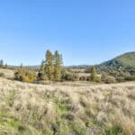 Photo 41 for Gold Rush Bison Ranch