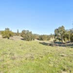 Photo 43 for Gold Rush Bison Ranch