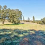 Photo 44 for Gold Rush Bison Ranch