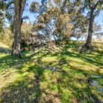 Photo 45 for Gold Rush Bison Ranch