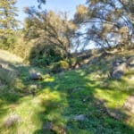 Photo 46 for Gold Rush Bison Ranch