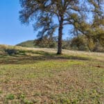 Photo 48 for Gold Rush Bison Ranch