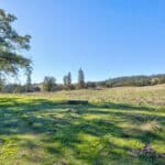 Photo 49 for Gold Rush Bison Ranch