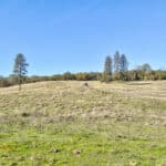 Photo 50 for Gold Rush Bison Ranch