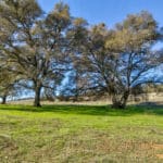 Photo 51 for Gold Rush Bison Ranch