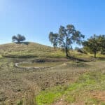 Photo 52 for Gold Rush Bison Ranch