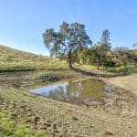 Photo 53 for Gold Rush Bison Ranch