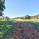 Photo 54 for Gold Rush Bison Ranch