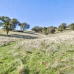 Photo 56 for Gold Rush Bison Ranch