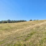 Photo 58 for Gold Rush Bison Ranch