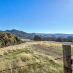 Photo 59 for Gold Rush Bison Ranch