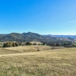 Photo 60 for Gold Rush Bison Ranch