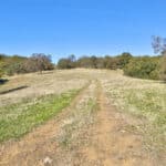 Photo 61 for Gold Rush Bison Ranch