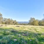 Photo 63 for Gold Rush Bison Ranch