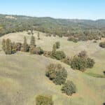 Photo 68 for Gold Rush Bison Ranch