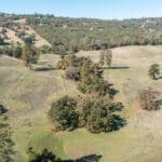 Photo 69 for Gold Rush Bison Ranch