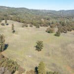 Photo 70 for Gold Rush Bison Ranch