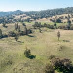 Photo 72 for Gold Rush Bison Ranch