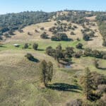 Photo 74 for Gold Rush Bison Ranch