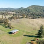 Photo 77 for Gold Rush Bison Ranch