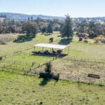 Photo 79 for Gold Rush Bison Ranch