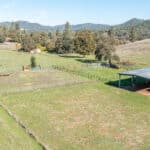 Photo 80 for Gold Rush Bison Ranch