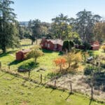 Photo 3 for Gold Rush Bison Ranch