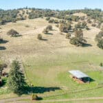 Photo 82 for Gold Rush Bison Ranch