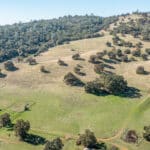 Photo 83 for Gold Rush Bison Ranch