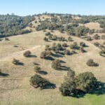 Photo 84 for Gold Rush Bison Ranch