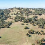 Photo 85 for Gold Rush Bison Ranch