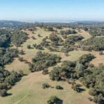 Photo 86 for Gold Rush Bison Ranch