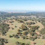 Photo 87 for Gold Rush Bison Ranch