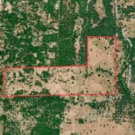 Photo 91 for Gold Rush Bison Ranch