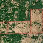 Photo 92 for Gold Rush Bison Ranch