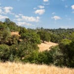 Photo 18 for Gold Hill Holdings