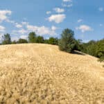 Photo 7 for Gold Hill Holdings