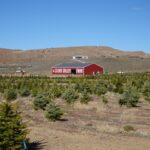 Photo 6 for Silver Valley Farm
