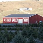 Photo 2 for Silver Valley Farm